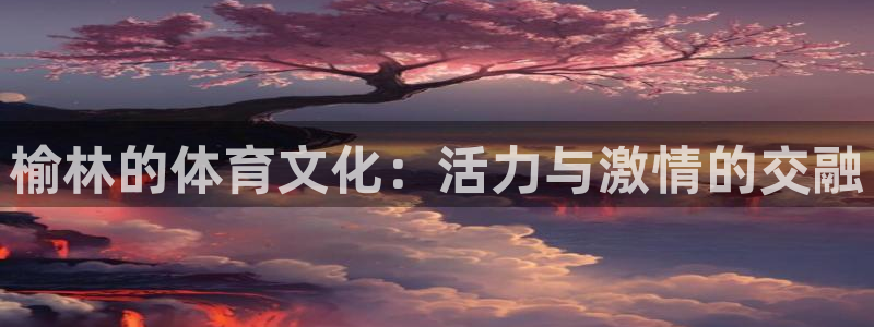 vsport体育官方正版app娱乐下载:榆林的体育文化:活力