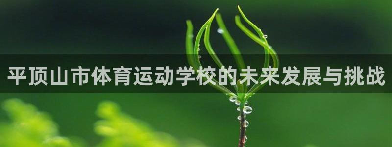 vsport体育官网下载招商电话号码是多少号:平顶山市体育运