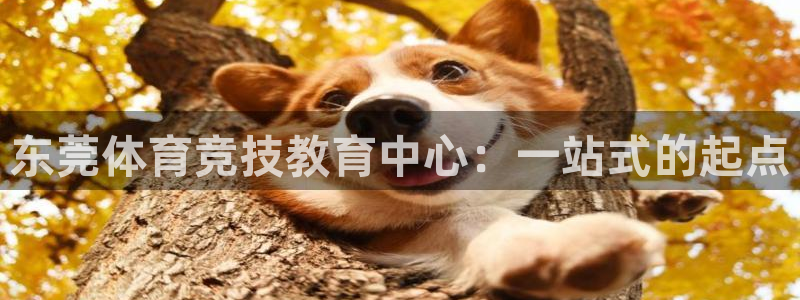 vsport体育官方正版app娱乐下载:东莞体育竞技教育中心